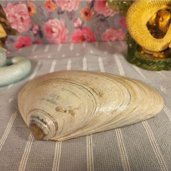 DECOUPAGE CLAM SHELL LAVENDER CLAM TRINKET DISH - Picture 9 of 9